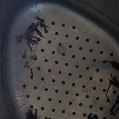 lung liquid