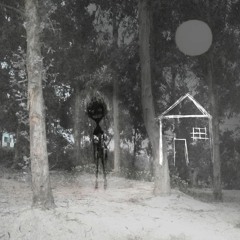 No Va A Volver - Todo el tiempo