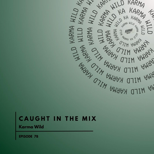 CAUGHT IN THE MIX - 78