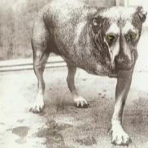 higher than a kite wit slurtome prod by slurtome