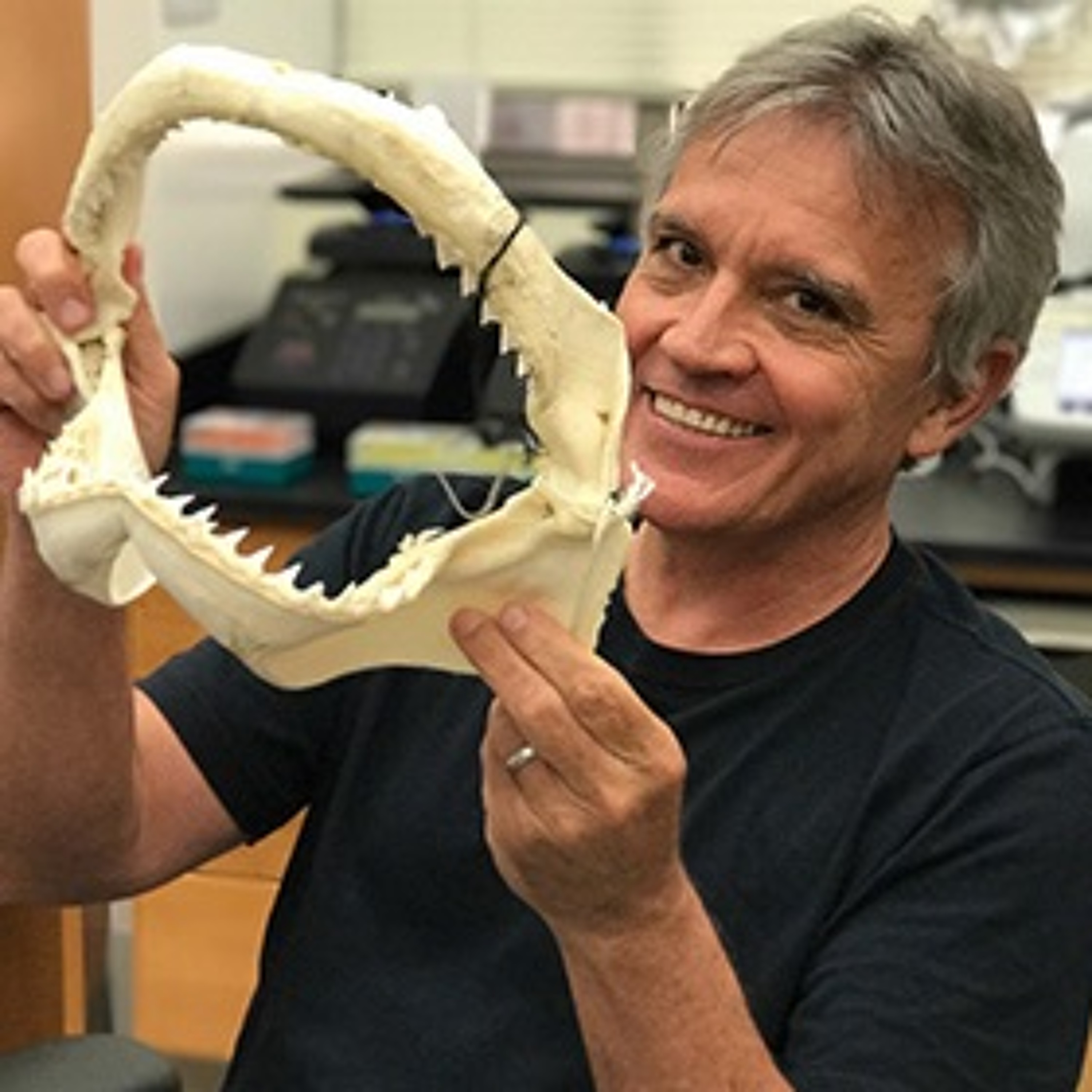 SoS 147 - The Genetic Library of Sharks with Dr. Gavin Naylor episode artwork