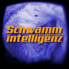 Schwammintelligenz - Odo Sendaidokai