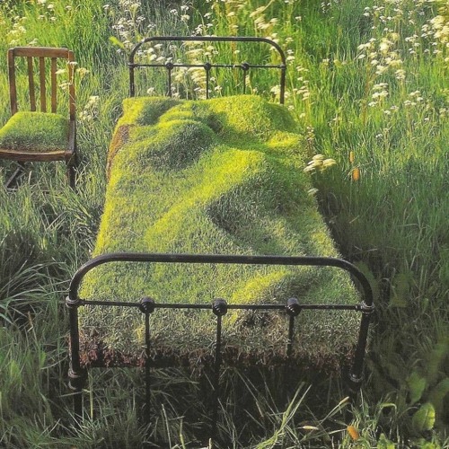 KingFelix Mentally Sol-Dreamnote