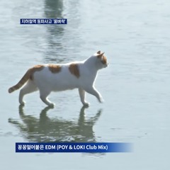 꽁꽁 얼어붙은 한강 위로 고양이 EDM (POY & LOKI Club Mix) - POY & LOKI (Free Download)