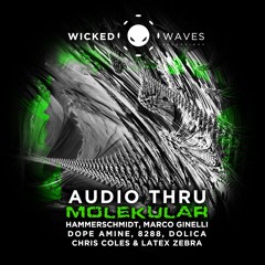 Audio Thru - Molekular (Hammerschmidt Remix) [Wicked Waves Recordings]