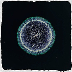 LA VRAI DROGUE (extract live) JUL x NUSKY [FREE DL]