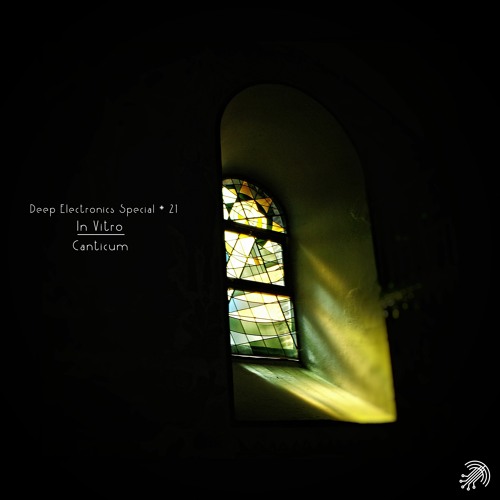 Deep Electronics special # 21 - In Vitro (Canticum)