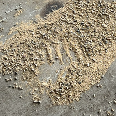 The middle. jimmy eat world