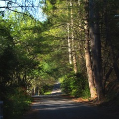 Blue Ridge Parkway Part 2 Grandfather Mountain