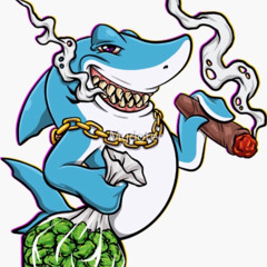 K-SPITTA x Overactive B3 x Lil Rackzz - Exotic pack
