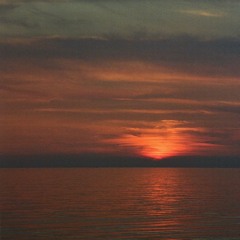 gooch & light blending in - riverside