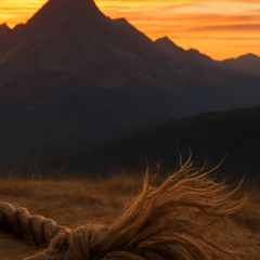 push n pull (prod.tiresss)