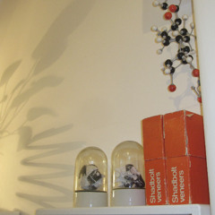 The High That Lasted 4 Years