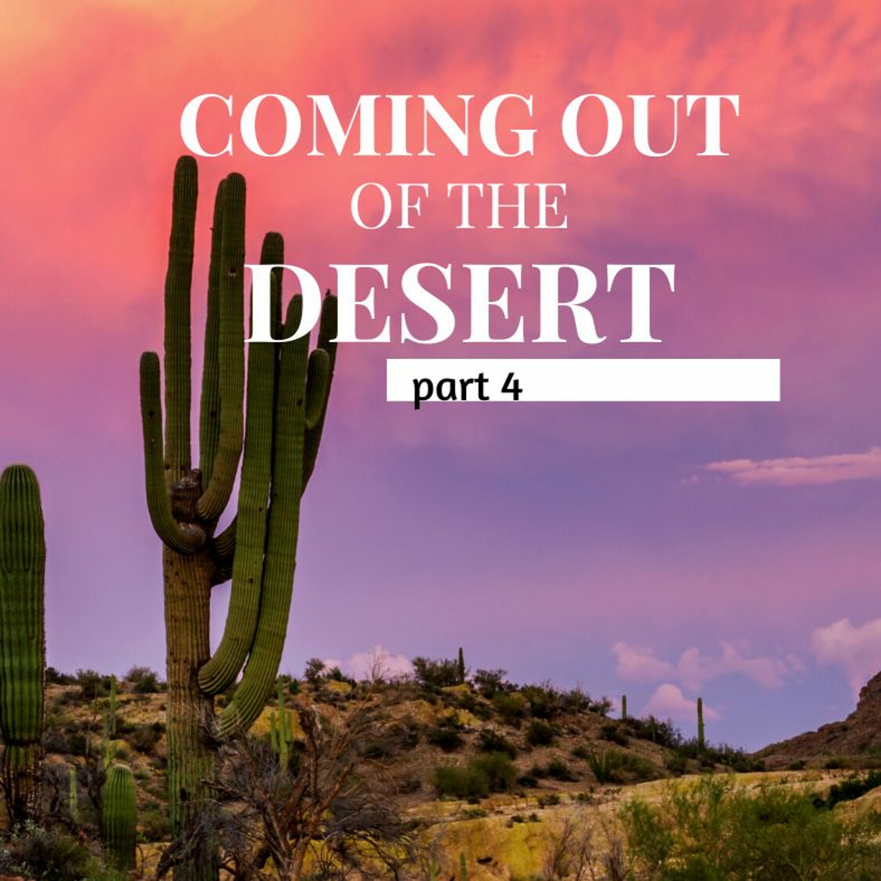 David - Coming out of the Desert (PT. 4) // Pas Subash Cherian episode artwork