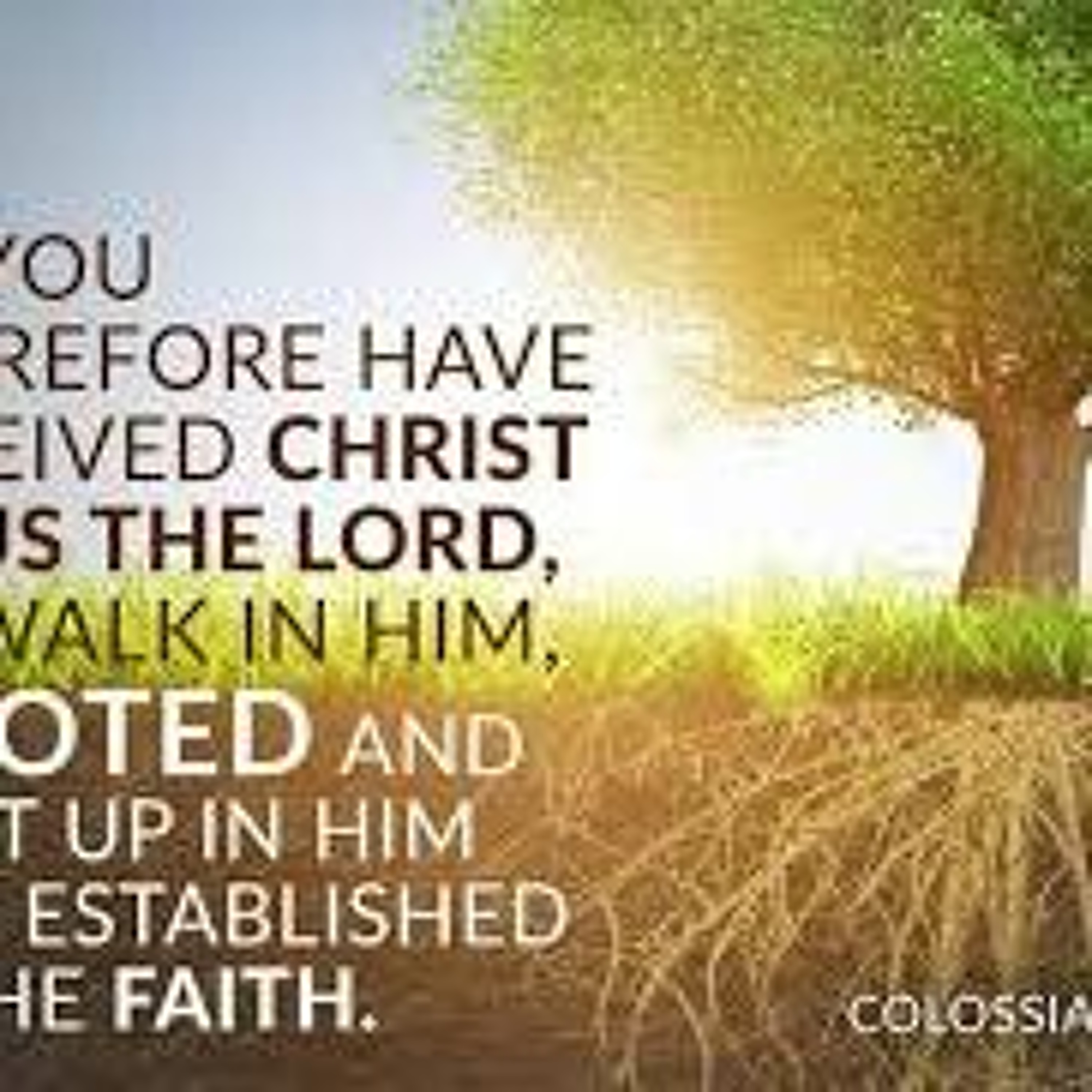 Rooted In Faith - Message from Colossians 2:6 episode artwork