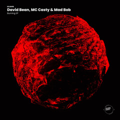 David Bean,Mc Casty Allarm (Original Mix)
