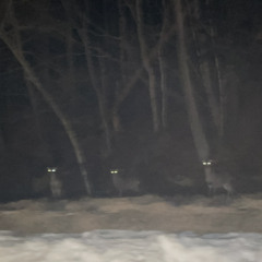 朝５時からお願いね