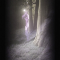 𝚍°ₐₛₕⁿᵉₜ ⋱ ²⁴⁻¹