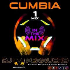 🔥 IN THE MIX YouTube ▷ Cumbia Mix 1