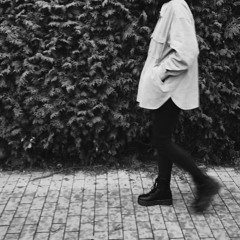 how to be me - ren & chinchilla cover