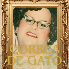 Pavochaman X Viagra Esports X Flores - Correa De Gato