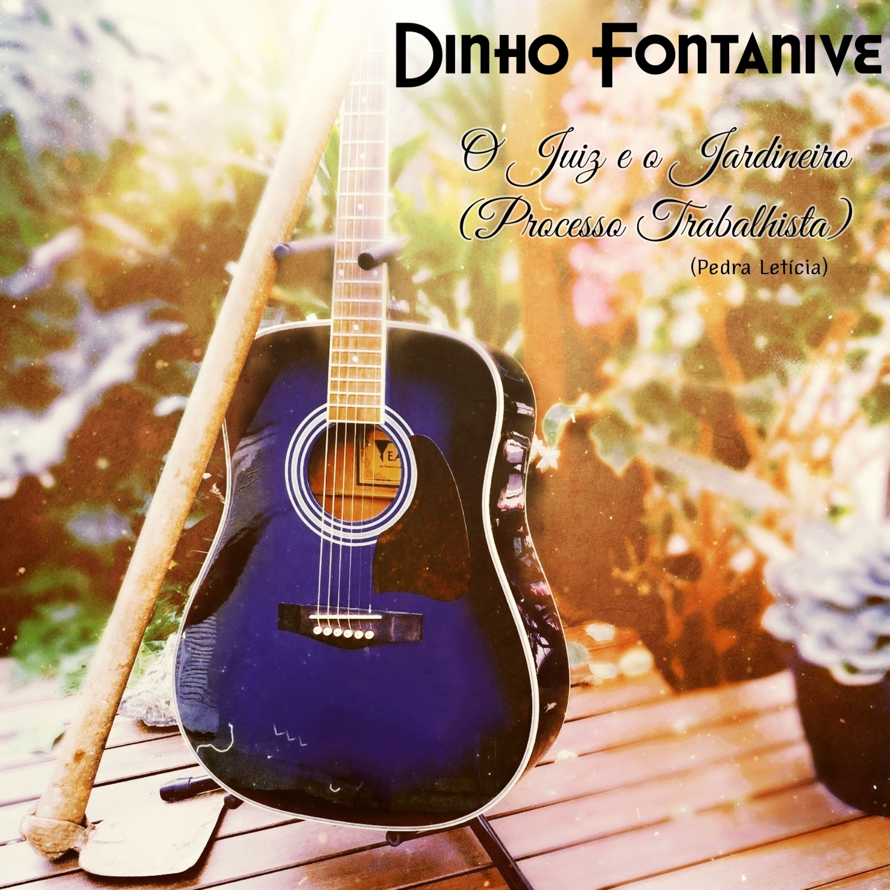 Dinho Fontanive