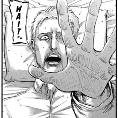 Reiner Trasformation theme AOT4