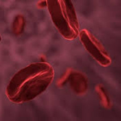 (SCRAPED!!!!!!) V Crisis - Blood Lineage [LMS]