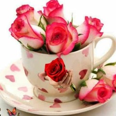 Ya Nabi Salam Alayka By Hafiz Tasawar Attari - Muhammad Aarib.mp3