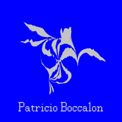 Fathom Series 008 - Patricio Boccalon