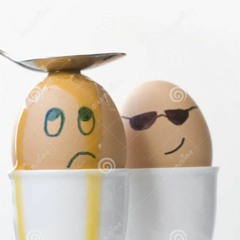Eggs Samples 2k24