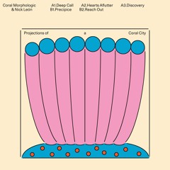 Coral Morphologic & Nick León - Projections of a Coral City