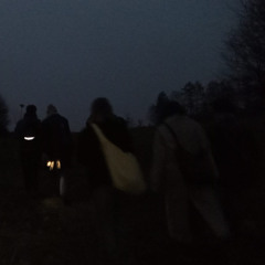 ifdreamingisdoing i will be executed