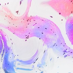 【BOF:NT】 There's a lot we don't know