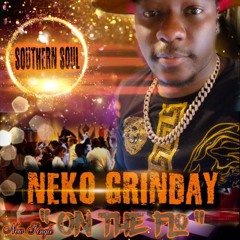 On The Flo Pre Mastered .mp3