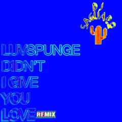 Luvspunge - Didn't I Give You Love (D.J. Saguaro Remix)