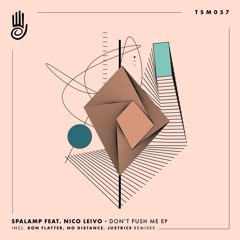 PREMIERE: Spalamp Feat. Nico Leivo - Don't Push Me (Ron Flatter Remix) [Truesounds Music]