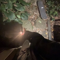 psychotic ft. bilbrosebagginz (prod. fox5)