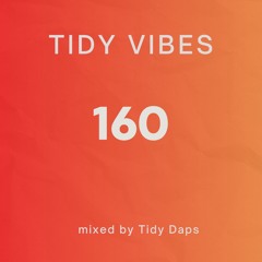 Tidy Vibes 160