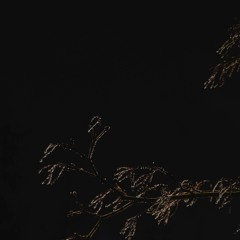 2023 40 Minute Mix #4