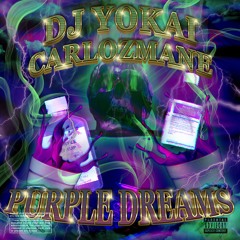 Yoke x CARLOZMANE - Purple Dreams (FULL ALBUM STREAM)