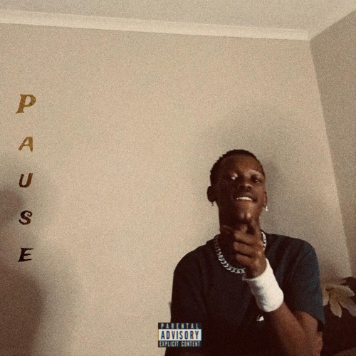 Pause (feat. Zer0)