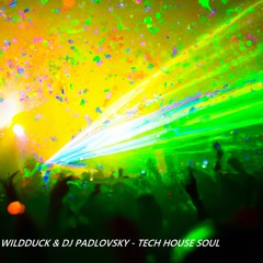WD & DP - TECH HOUSE SOUL (EXTENDED MIX) [SUPPORTED BY DJS FROM MARS on Alien Selection Radioshow ]