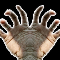 whoarewhatwherewhyarewe