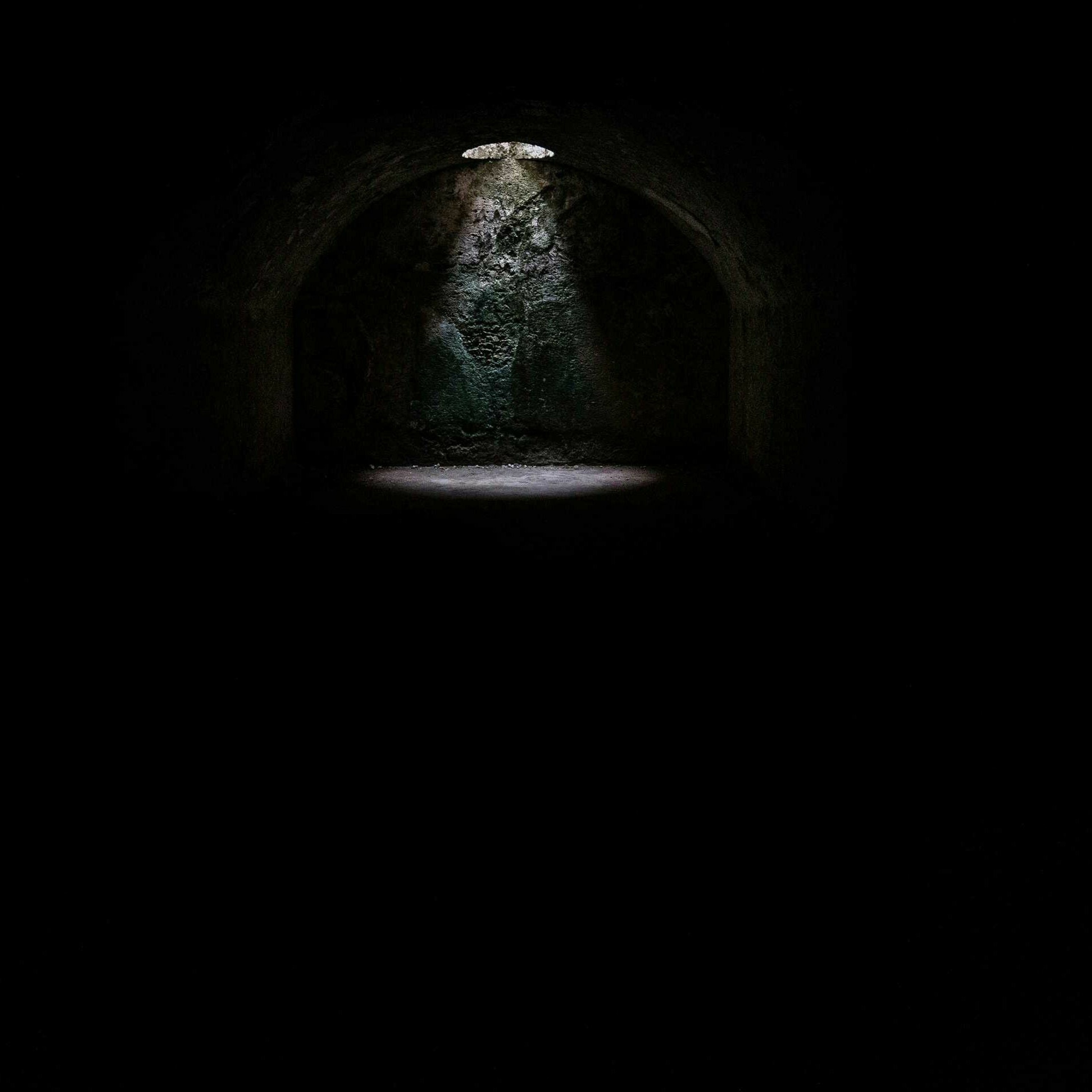 Project 239 episode artwork