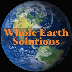 Whole Earth Solutions #1