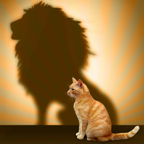 Merassakan - Cycle Vitale - 215bpm