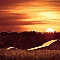 House Of The Rising Sun - Patrick Wilson