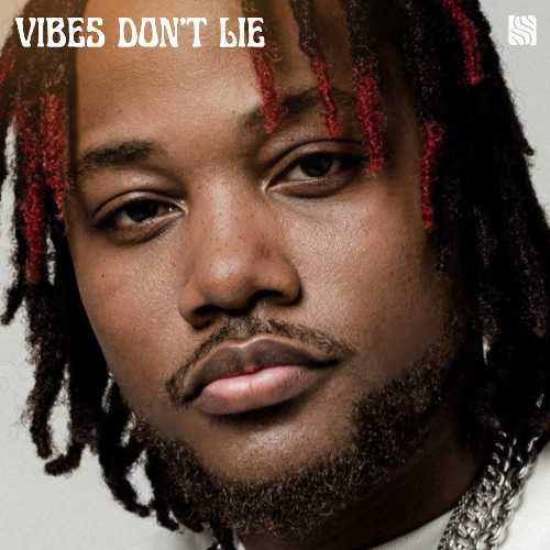 VIBES DON'T LIE (SOULECTION 670)