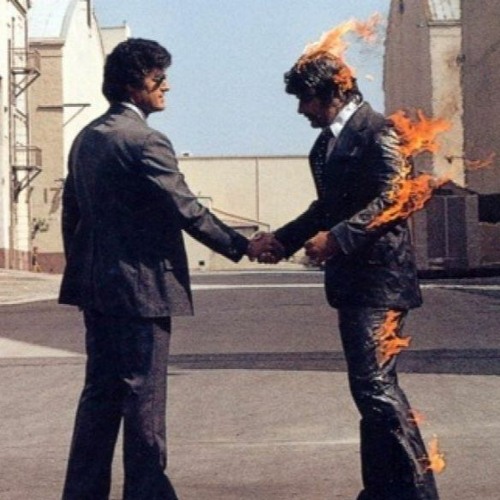 Pink floyd reverb deals